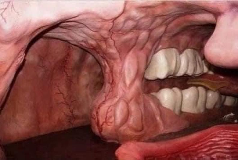 interesting_aIl's tweet photo. The Corpus Museum in the Netherlands gives you a trip into the human body 😳 https://t.co/FMnKi6Oldi