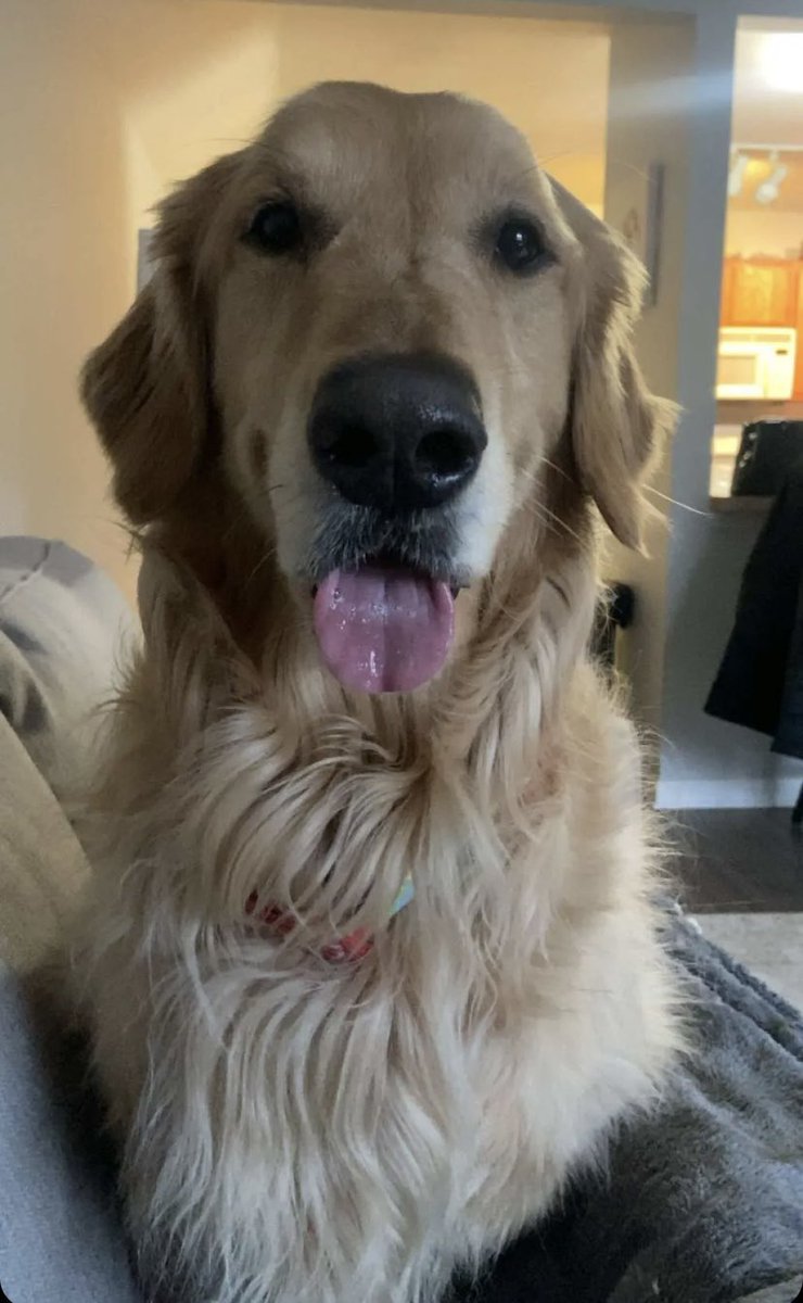 AnnaWulf14's tweet photo. Mr. Man is 5 tomorrow 🥹 https://t.co/xBDfiOMPUi
