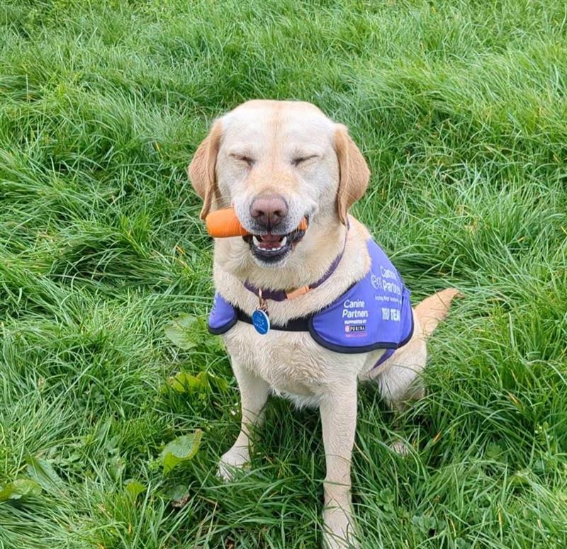 Who knew a carrot could make someone so happy! Does your dog have a favourite treat?