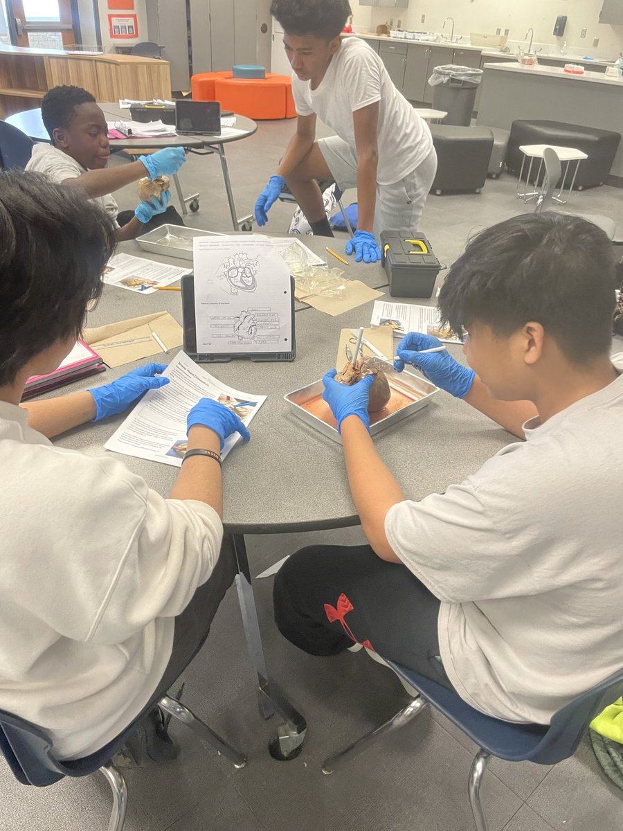 Health Profession students were busy experiential learning today with the Pig Heart Dissection lab. #KSTMproud #OPSProud