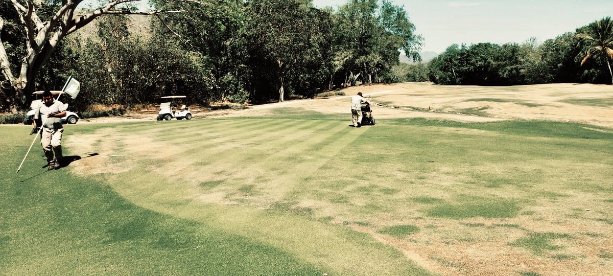 Ustedes atrévanse a desacatar la ley y veremos 😎.

Nosotros por lo pronto APEGADOS A LA LEY Y AL ESTADO DE DERECHO, ya estamos dándole mantenimiento al campo de golf que ustedes se jodieron en 10 días 😌… pero sin problema cáiganle a corretear jardineros y cuida campos! Es más,