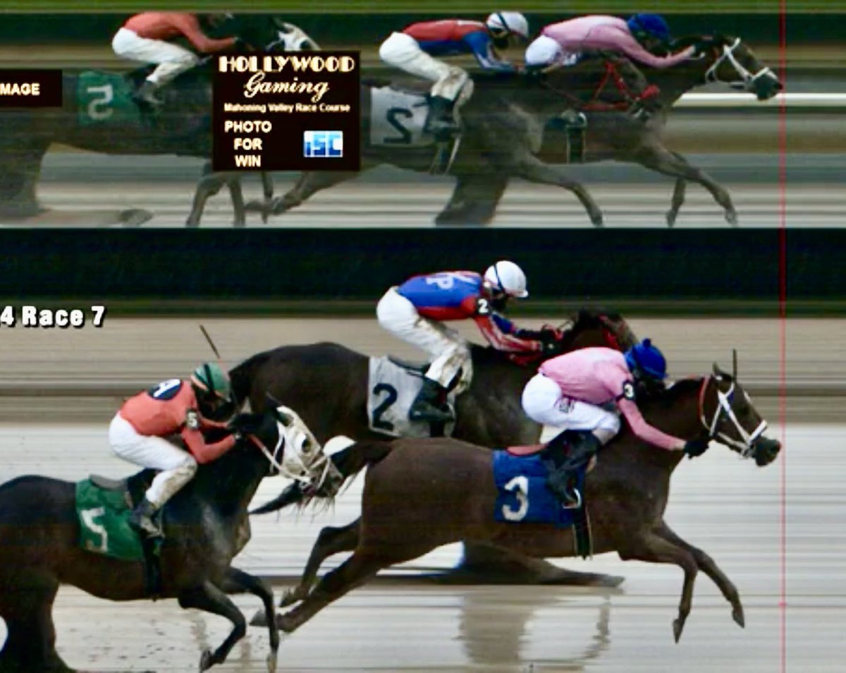 SERGER WINS TWICE IN 2 WEEKS!!! 4F Serger (Orb-Modern Lady by Candy Ride) & @josebracho1997 came down the middle of the sloppy front stretch to pull off the win in the 6f R7 @HollywoodMVRC !!! Serger now has 5 wins in 14 starts, with over $140k in earnings!!! 🏇🏆🥳