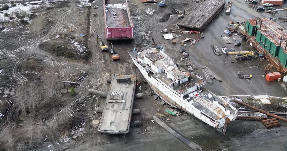 malloyd60's tweet image. But Seapan dismantles them in an ecologically and biologically sensitive area where over half of BC shellfish are produced! @Seaspan needs to care about heavy metals discharged into the marine environment and what that means to BC @BC_shellfish.