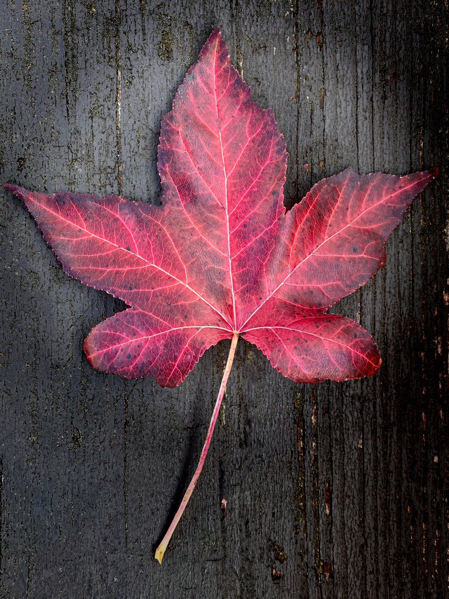 Show Me Your Stunning Minimal Shots