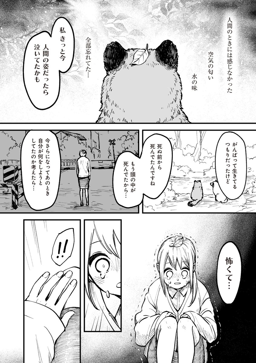 人間やめてタヌキになった話🍃(3/4)

#漫画が読めるハッシュタグ 