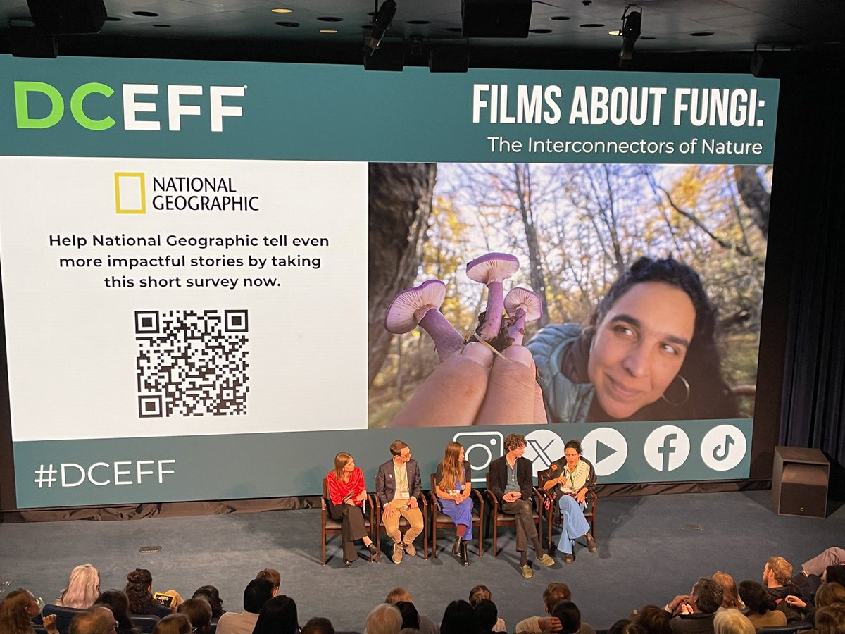 Amazing event tonight learning about the incredible world of fungi! Thank you to @MerlinSheldrake, @Giulifungi, & @KiersToby for answering our questions about the newest addition to @InsideNatGeo’s official “wildlife” trio (along w/flora & fauna). 🍄 #DCEFF