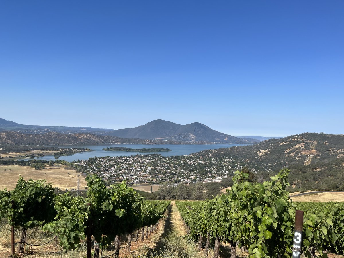 All volcanoes in California were at normal background levels of activity last week. usgs.gov/programs/VHP/v… The Clear Lake Volcanic Field's geology, topography, & microclimates make it a fascinating wine-growing area! USGS photo by Mike Mitchell, taken from N of Clear Lake Oaks.