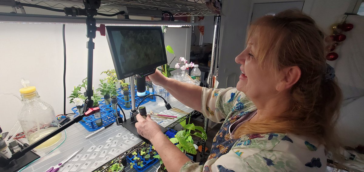 I stole a few minutes to show my mom how her moss experiment is doing. She managed to sprout a very soft moss on rockwool and its already blooming (or whatever mosses do; sporulate?). Showed her how to use the video microscope. She so curious 🥰

Time with her is so precious.
