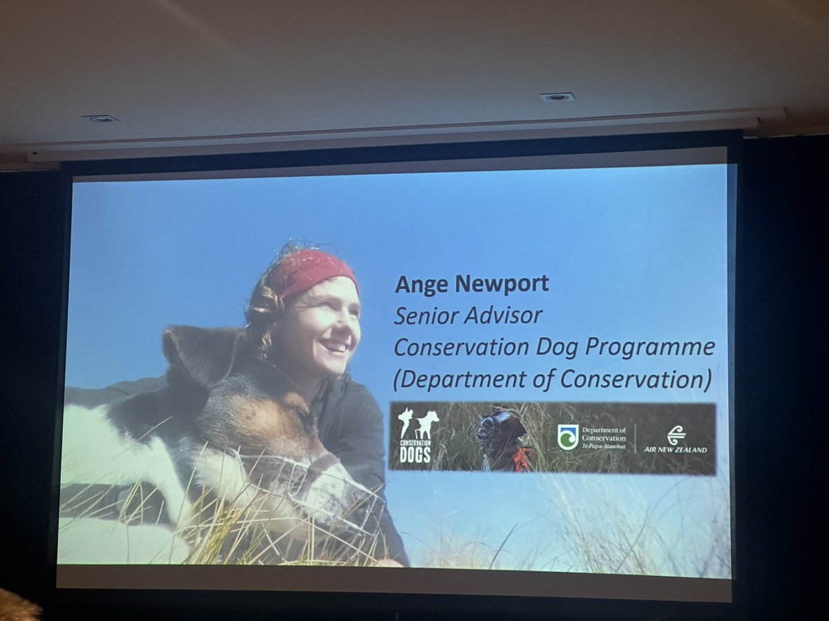 Alice Chamberlain tweet media