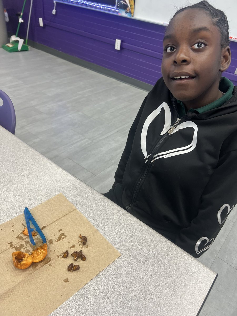 Mrs. Ginart’s Science Class tweet media
