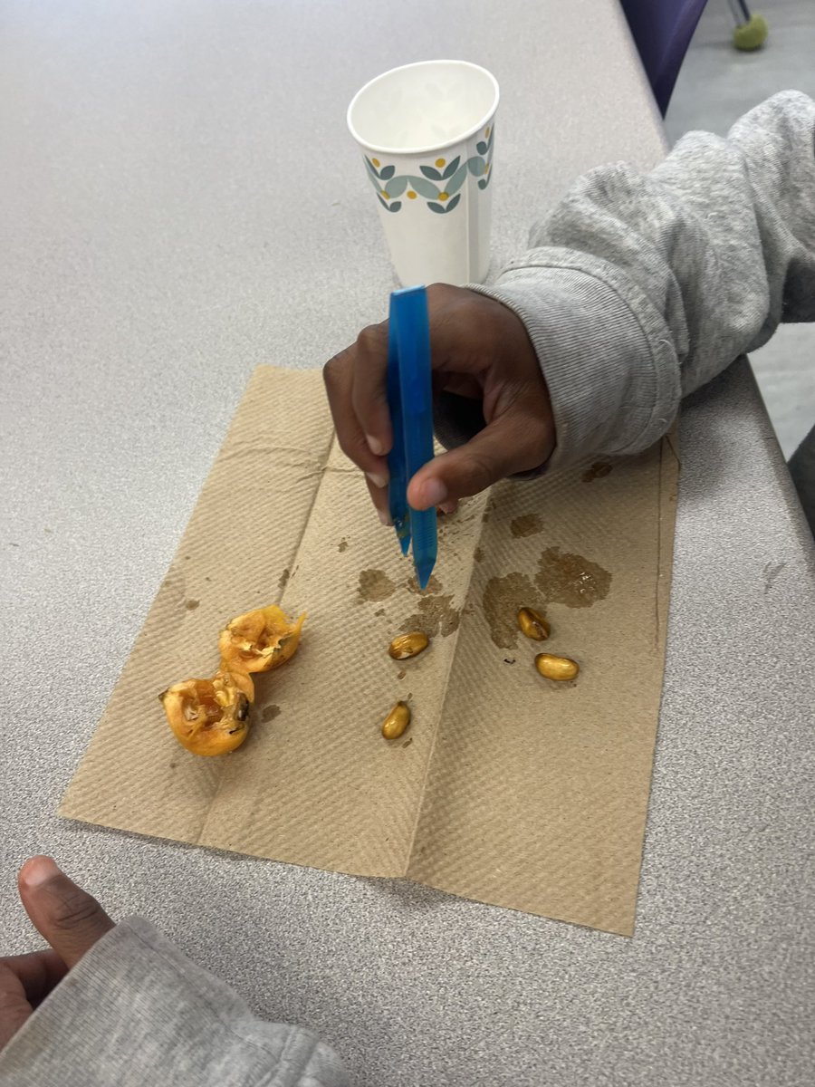 Mrs. Ginart’s Science Class tweet media