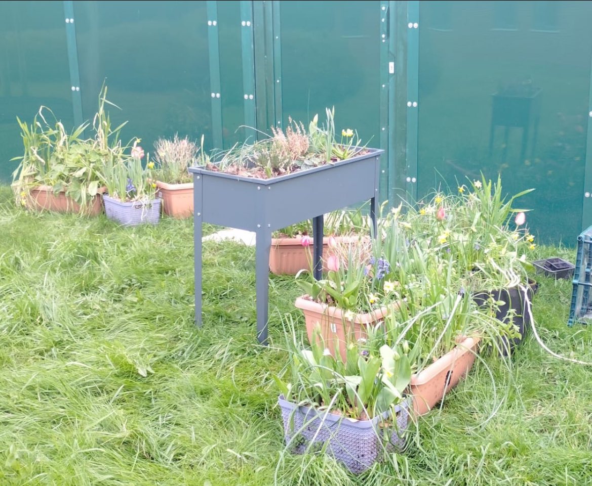 Let's start gardening! We are trying to create more relaxing spaces in nature , with lots of sensory opportunities and where we can use our hands to create beautiful flowers and food!