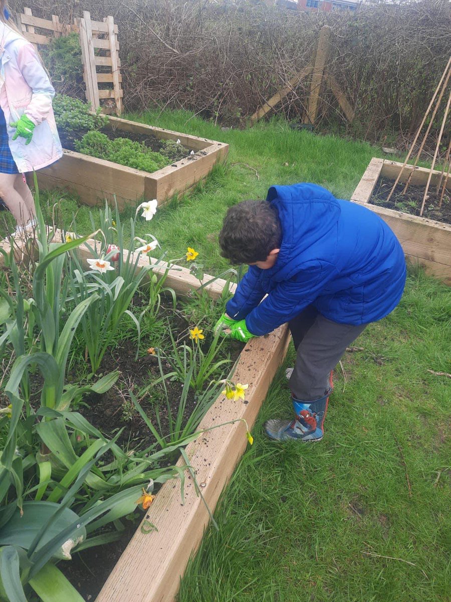 We’ve had our final Eco club session for the term and the children have been busy weeding the planters to make way for all the wonderful things that we are growing! Thanks, team!