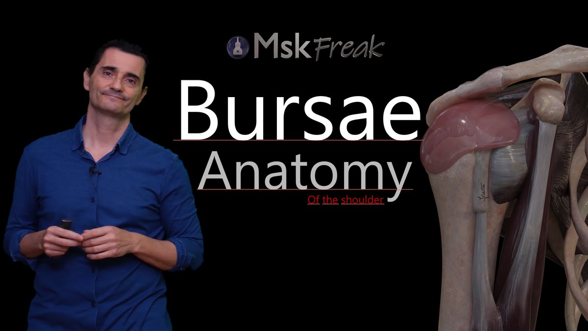 We are close to the release of my new anatomy & US tutorial, this time about the shoulder. I´ve spent so many hours... I hope it will worth it. Tomorrow lesson 10 'Anatomy of the bursae' will be released on my YouTube channel youtu.be/n45q8fNv4oE Take a look if you are curious