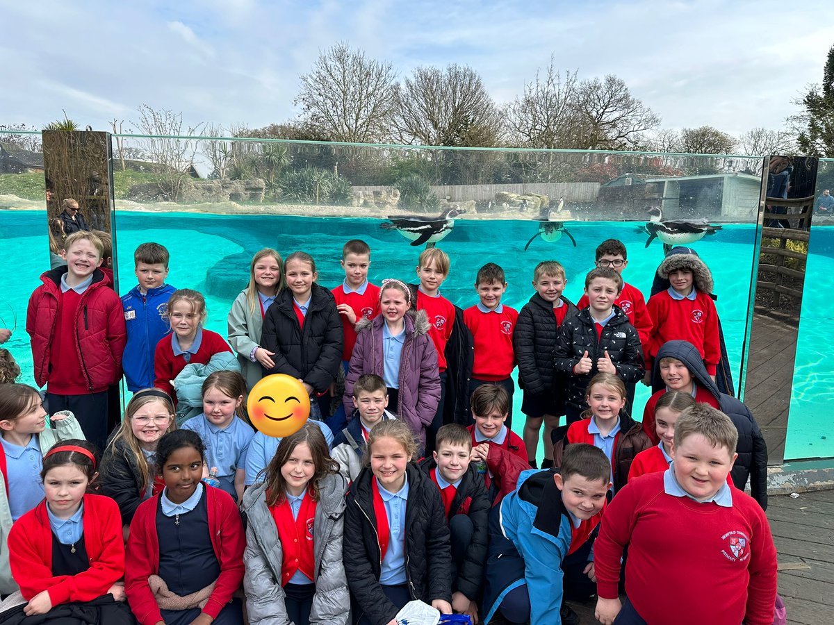 A great day at Chester zoo! We’ve seen lots of animals and discussed how well their enclosures are made to suit their natural habitat.