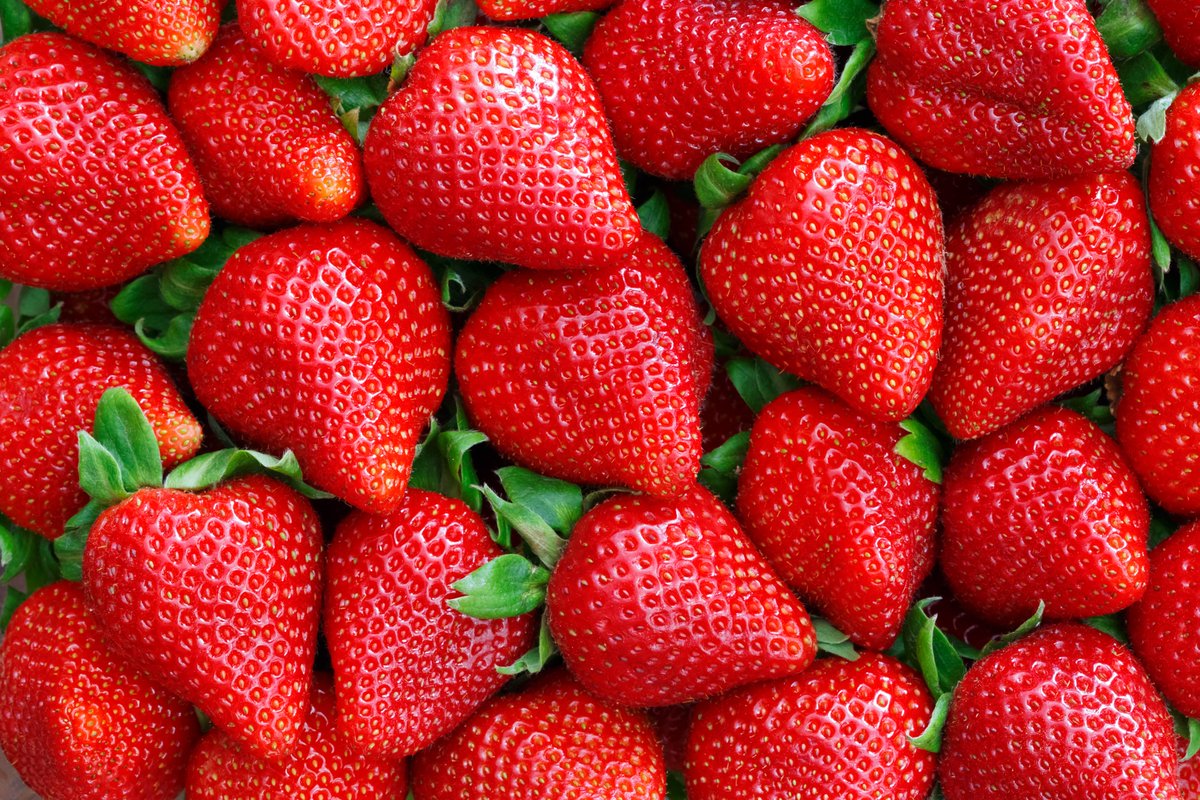 Strawberries are delicious! We'll have lots of strawberries at citc on Thursday 11 April. But we won't be eating them, we'll be squishing them finding out about DNA! #citc2024 #sparkyourcuriosity