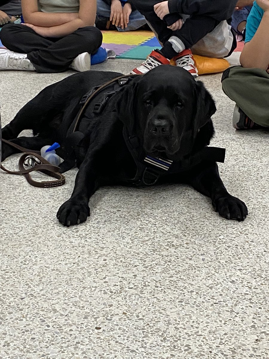 MrsRathbone23's tweet image. A huge shoutout to @VBPD for coming to read to my students at  @BirdneckES1! Thank you Officer J for bringing GiGi too! She was so well behaved and soaked up all of the post-reading snuggles! We appreciate everything you do for our community! #VBCPS #ReadingMonth #GuestReader