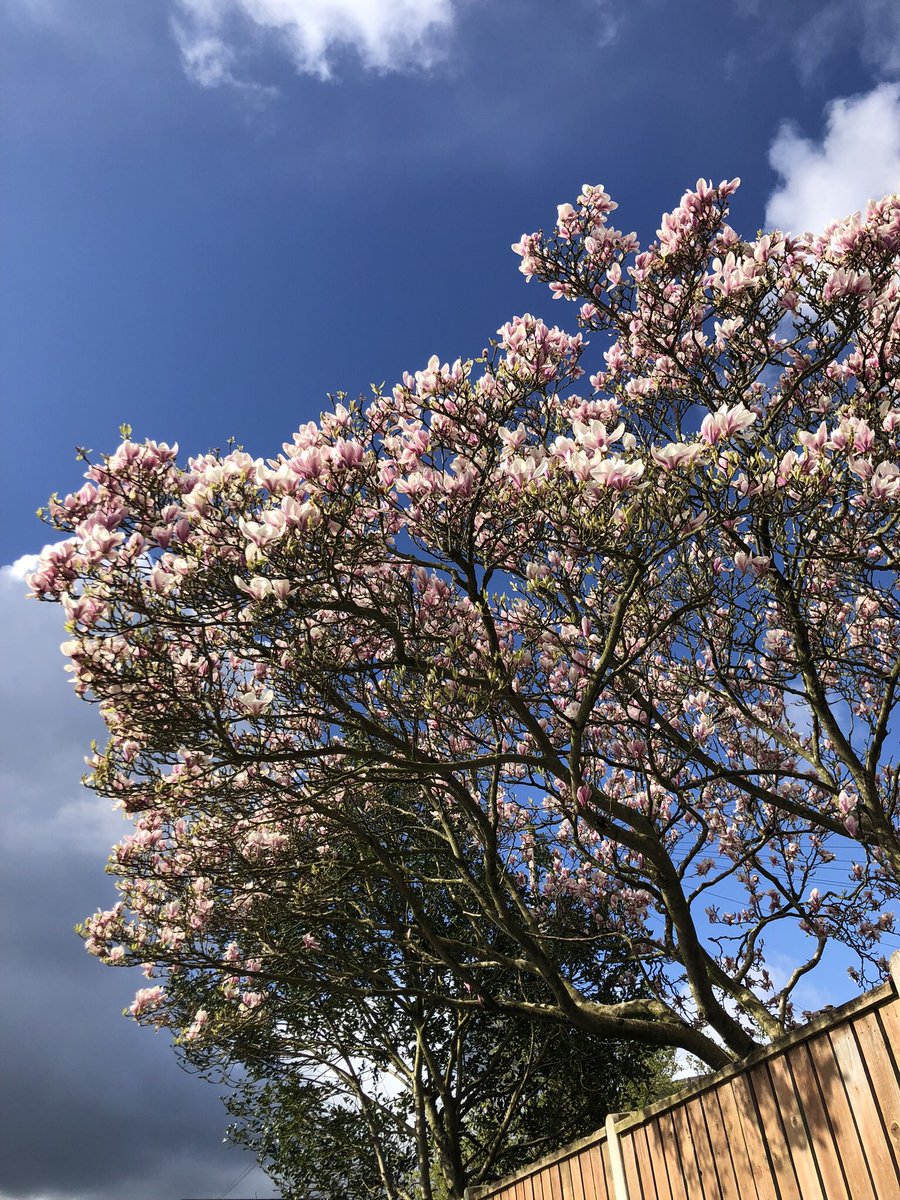 anna_fw's tweet photo. Did my longest run ever at the weekend - 22 miles! Back in October I was running 3 miles a week 😀

Only 3 weeks to go until the #ManchesterMarathon 🏃🏽‍♀️

So proud to be running in memory of my friend Karolina and for @macmillancancer 

https://t.co/M2fjScrFrg https://t.co/ZUNhIzgVWF