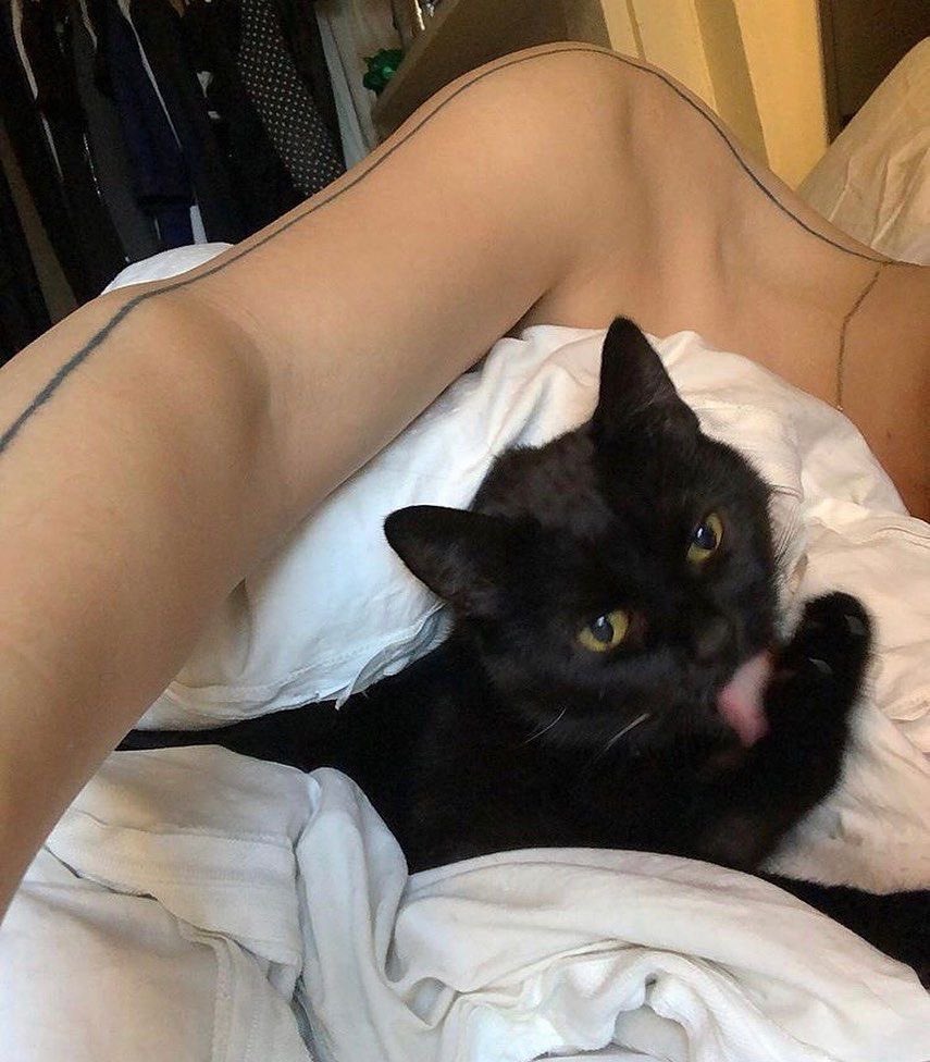 Black cats are not bad luck (@visualscat) on Twitter photo 