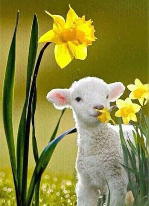 AlteaFerrari's tweet photo. Buongiorno A TUTTI 😘
Beautiful day Y'ALL ❤️ https://t.co/panKGW3Ujx