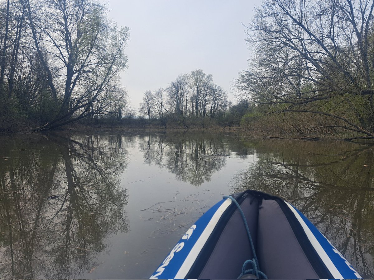 SandraHodic's tweet photo. New skill/experience unlocked! Successful Kingfisher monitoring on a nice spring day! 😊😁 Was so happy to have this experience! 😊 What is next, I wonder??? 😎 https://t.co/AnAhnB9lGs