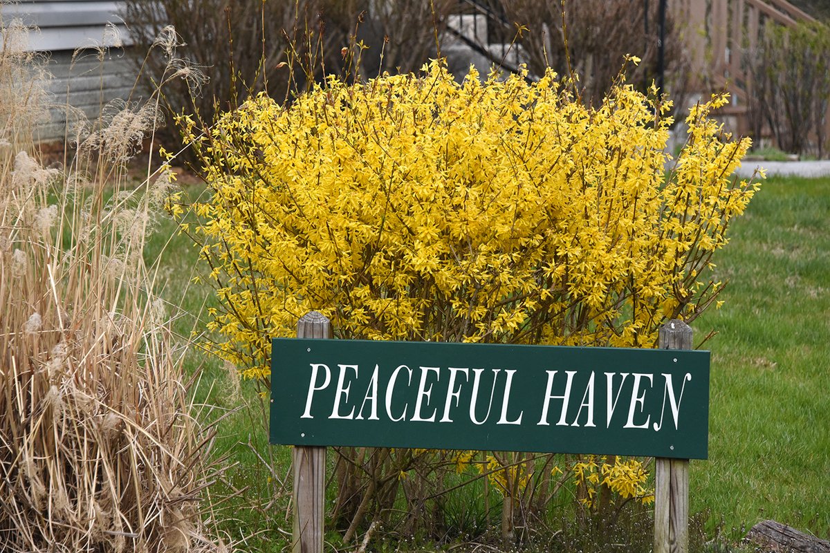 Temps were cooler as we returned to campus today after Spring Break, but we also saw many beautiful new blossoms and signs of spring!