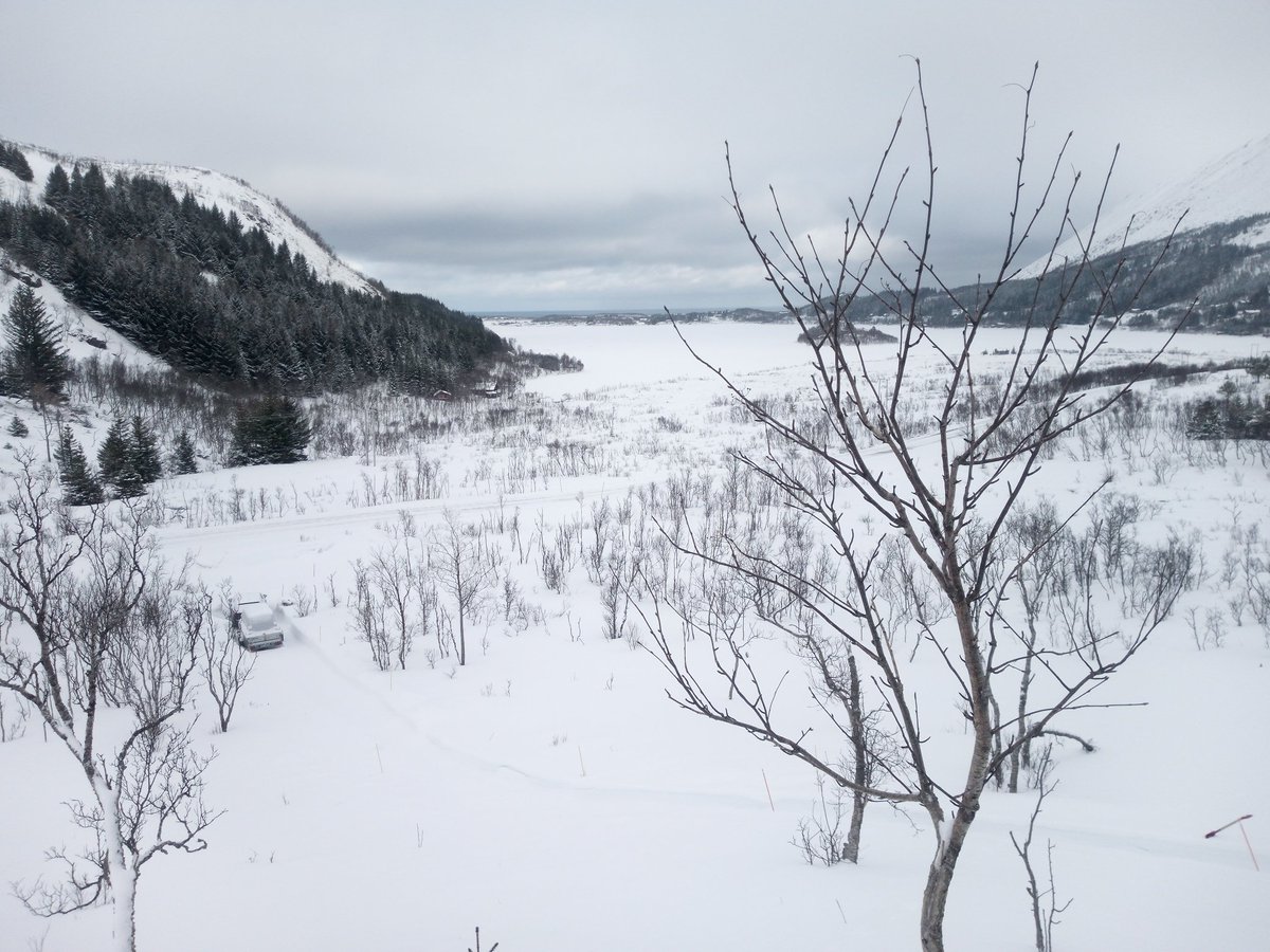 la8mga's tweet photo. På hytta https://t.co/DoEwFSMhX5