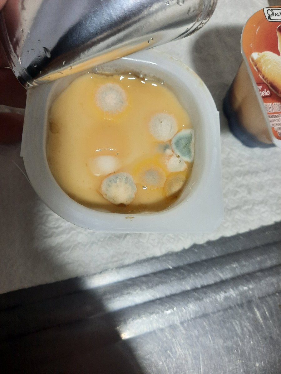 Giselle Pereira tweet media