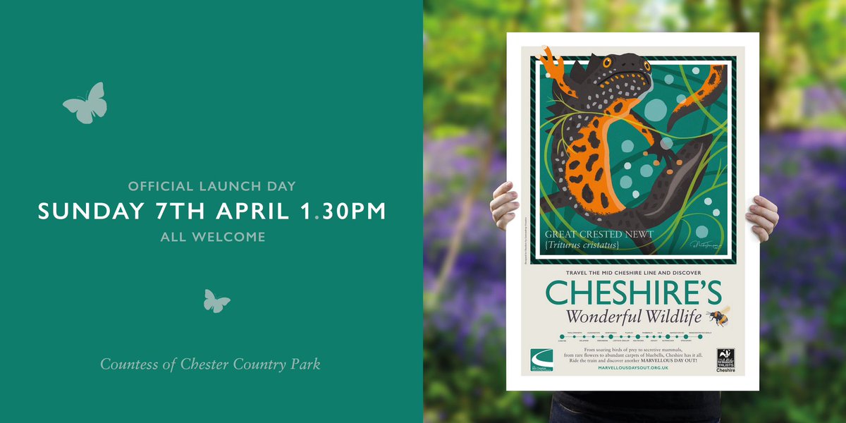 Only 12 days to go to the official opening of the stunning #CheshiresWonderfulWildlife art trail in @CountessPark featuring the work of artist @nickythompsona1. @MayorChester Cllr Shelia Little will unveil a special poster by @Friendly_Bench at 1:30 Sun 7th April All are welcome.