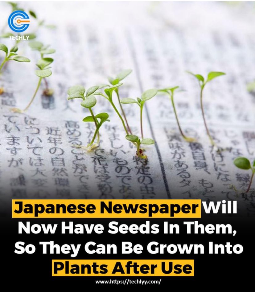 Did you know Japanese newspapers are embedding seeds within their pages? After reading, plant the paper and watch it grow into a plant, reducing landfill waste and fostering a greener planet. #SustainableReading #GreenInitiative 🌱📰
Source: www.techlyy.com