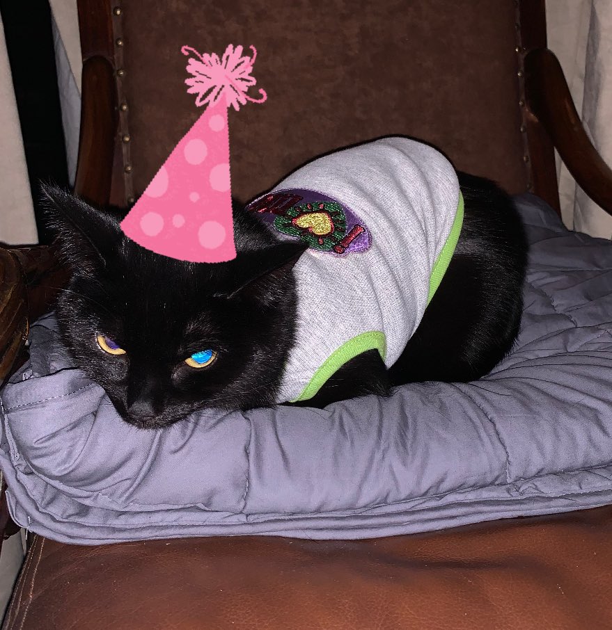 @strawb_the_cat Sorry I ackshally so heppy for th yu! HEPPY 7 BORTDAY STROBARRY!!!