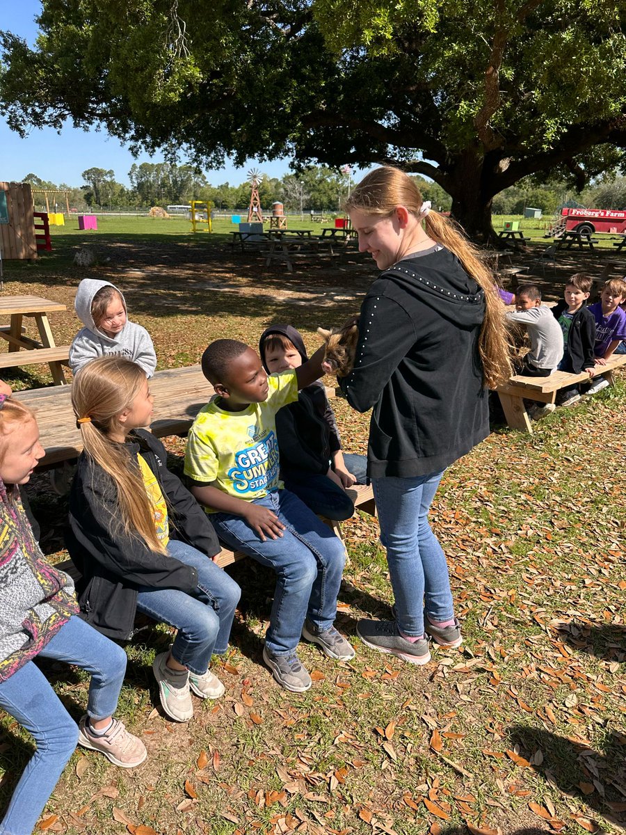 Frontier Elementary tweet media