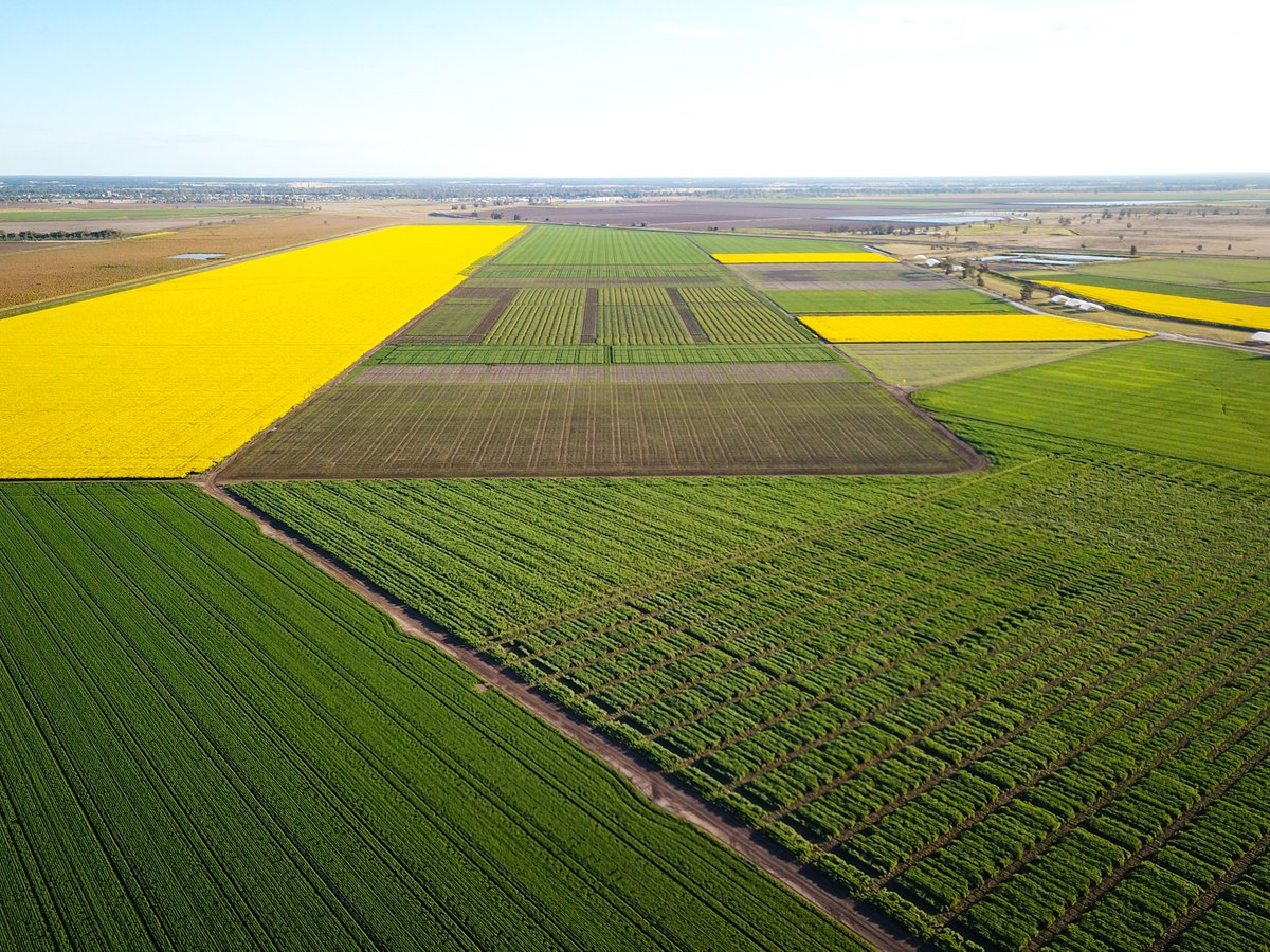 📣Exciting opportunity for a Lecturer or Senior Lecturer in Farming Systems Agronomy at Narrabri! Closes April 21 Apply here: tinyurl.com/44xdzum2