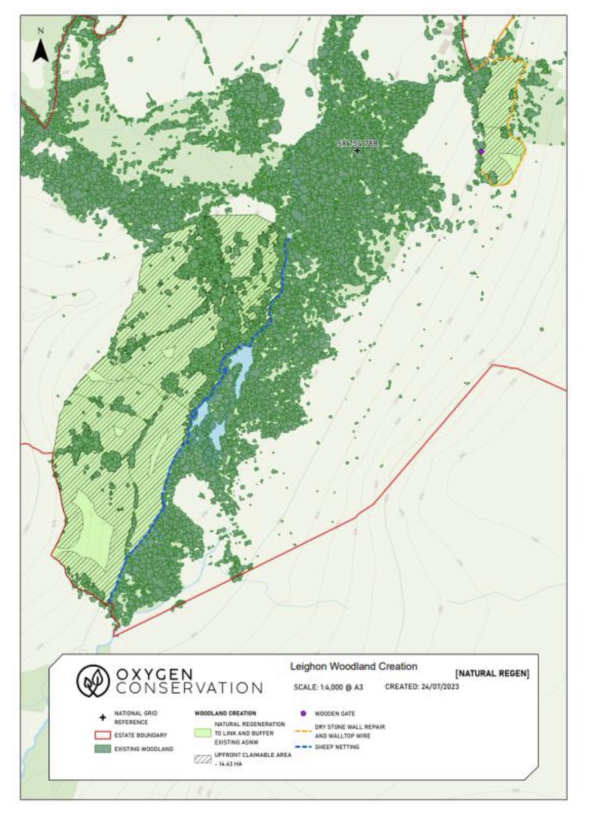 A thread about #woodlandcreation grants (EWCO) and how knowledge gaps can lead to (possible) mistakes @ForestryComm 

In an ecological assessment report I recently saw (part of an approved EWCO grant) this statement jumped out at me…

Hang on!
That’s the ‘newtake’ by the ponds!