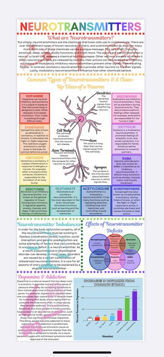 Neurotransmitters one pager by Greer Novak. Which one is involved with learning?