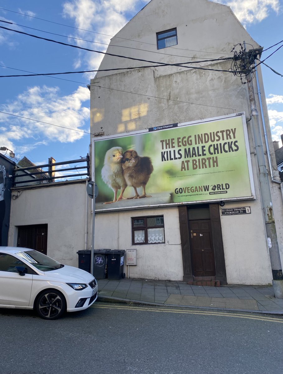 Seen this evening in Cork.Simple but effective messaging from #goveganworld #cork #eggindustry #factoryfarming ⁦@IFAmedia⁩ #govegan