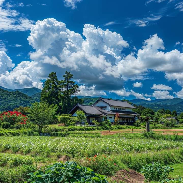MuhammadBa49191's tweet photo. Natural beauty 💚 https://t.co/doYPuFcoy1