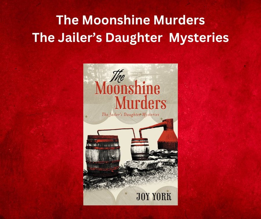 If you love Nancy Drew Mysteries or have never read them, this series is for you. I look forward to hanging out with Lily and Christi again for another romp. Don’t miss Joy York’s second book! @JoyYorkAuthor #mustread