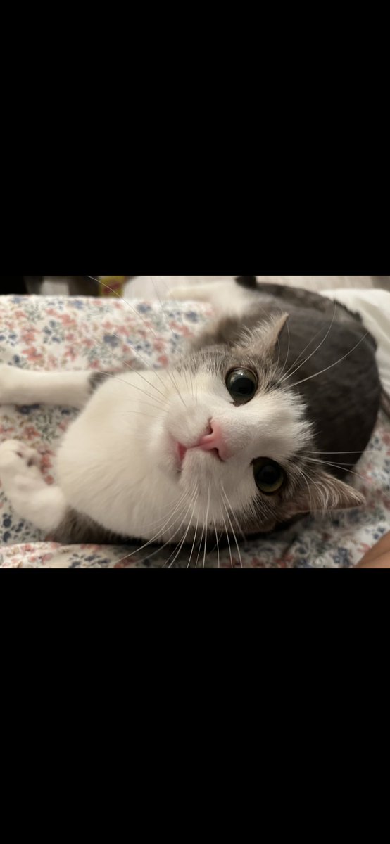 Leslie Nottingham tweet media