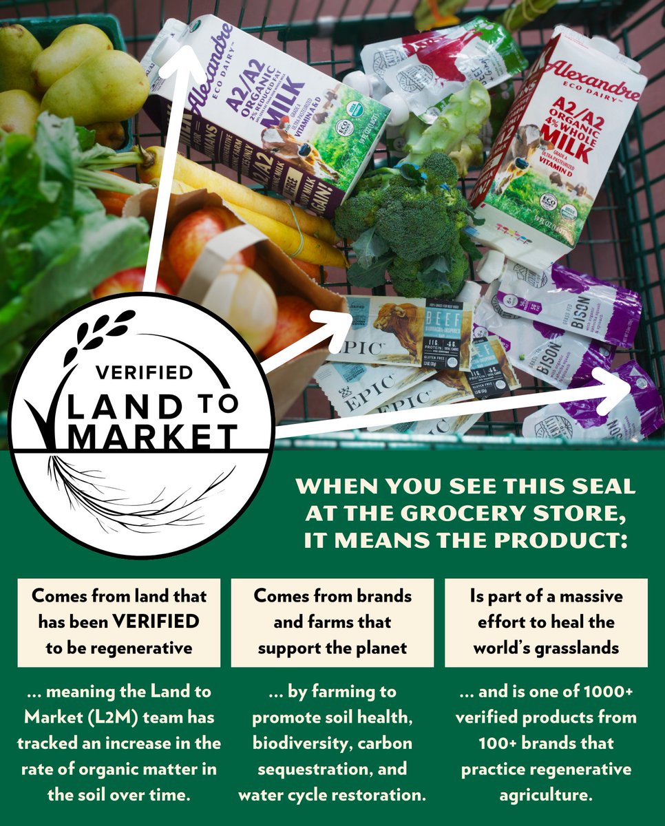 Recognize this @landtomarket seal from our certified regenerative products? Here's what it means!

#alexandrefamilyfarm #regenerativeproducts #landtomarket #verifiedregenerative #A2 #milk #A2dairy #A2A2 #A1free #certifiedregenerative #regenerativedairy #familyfarm #Regenivore