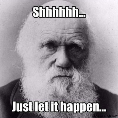 zeroxthexhero1's tweet image. #NewProfilePic