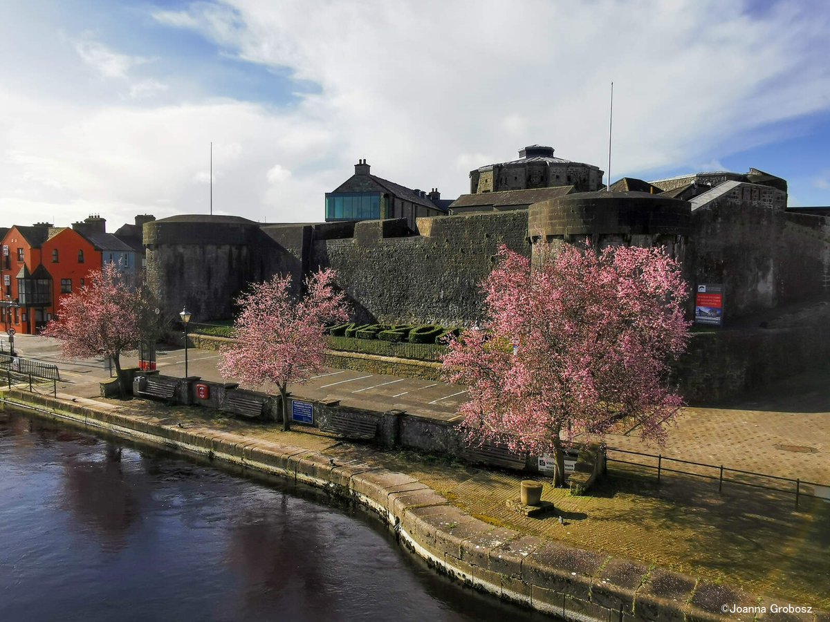 今日は #さくらの日 ということで、アイルランドより桜のある風景をお届けします🌸

1. Mount Usher, Co. Wicklow
2. University of Galway
3. Athlone Castle, Co. Westmeath

#アイルランドへ行こう
