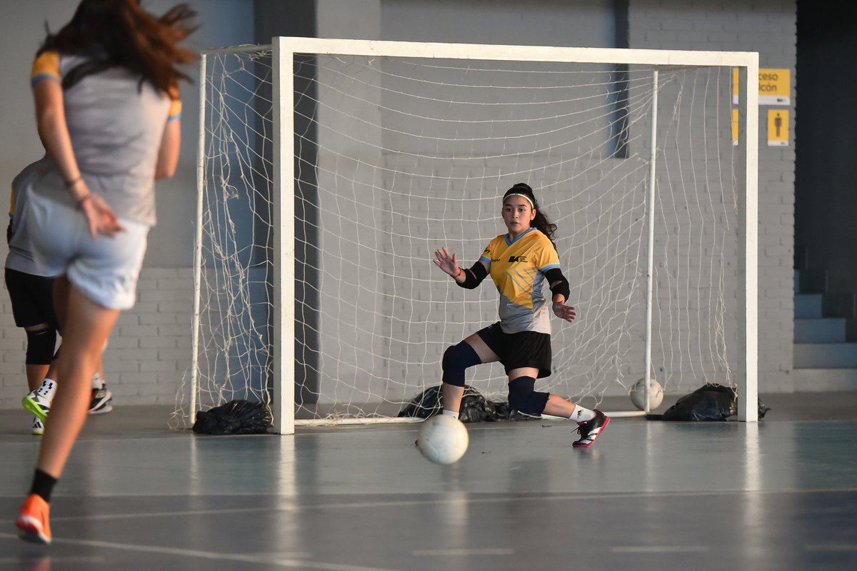 DeportesBA's tweet image. En el gimnasio del #ParqueSarmiento, bajo la dirección técnica de Ailén Haberna y su preparadora física Evangelina Testa, el equipo de Futsal femenino del programa ProAr, dio inicio a los entrenamientos de este 2024.