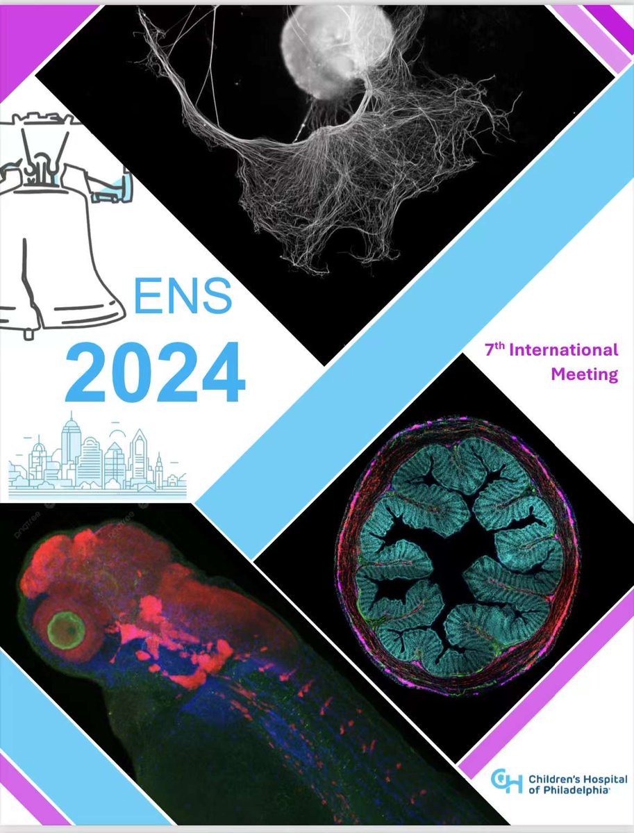 Peter Bo Li tweet media