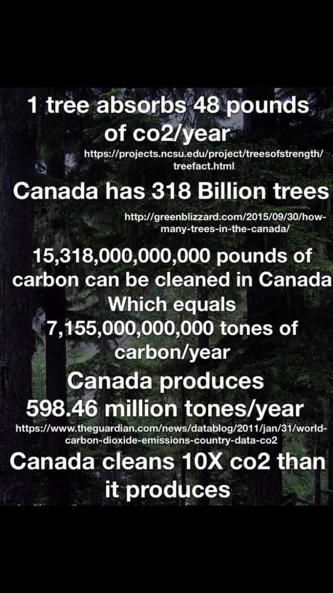 CrazyWoman/Sanda tweet media