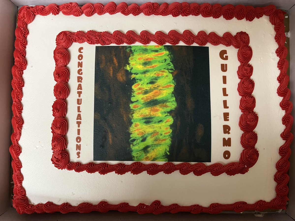 DJonesLab's tweet image. Congratulations to Guillermo on his successful thesis defense! He is the first PhD student in the Jones Lab. Proud mentor!