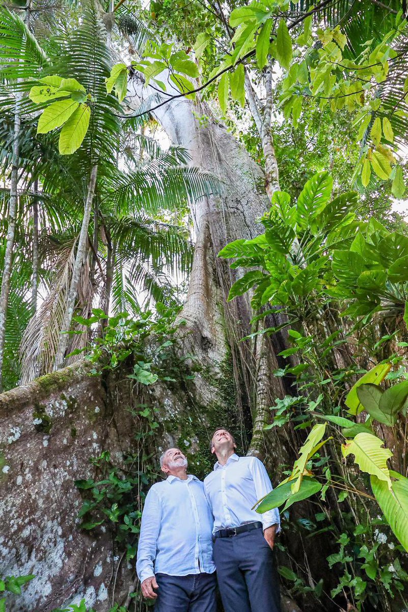 Lula (@lulaoficial) on Twitter photo Na Ilha do Combu, aos pés de uma Sumaúma, a gigante da Amazônia, com o companheiro <a href="/EmmanuelMacron/">Emmanuel Macron</a>.
📸 <a href="/ricardostuckert/">Ricardo Stuckert</a> Na Ilha do Combu, aos pés de uma Sumaúma, a gigante da Amazônia, com o companheiro <a href="/EmmanuelMacron/">Emmanuel Macron</a>.
📸 <a href="/ricardostuckert/">Ricardo Stuckert</a>