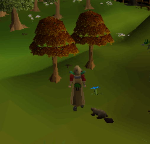 my greatest accomplishment