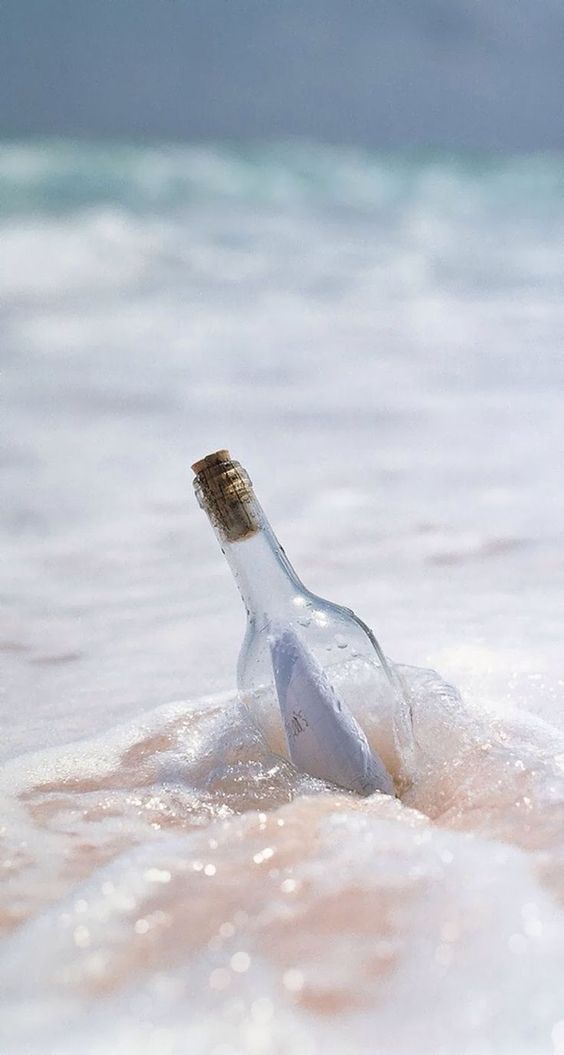 맑은어묵탕 (@soonji22choi) on Twitter photo 