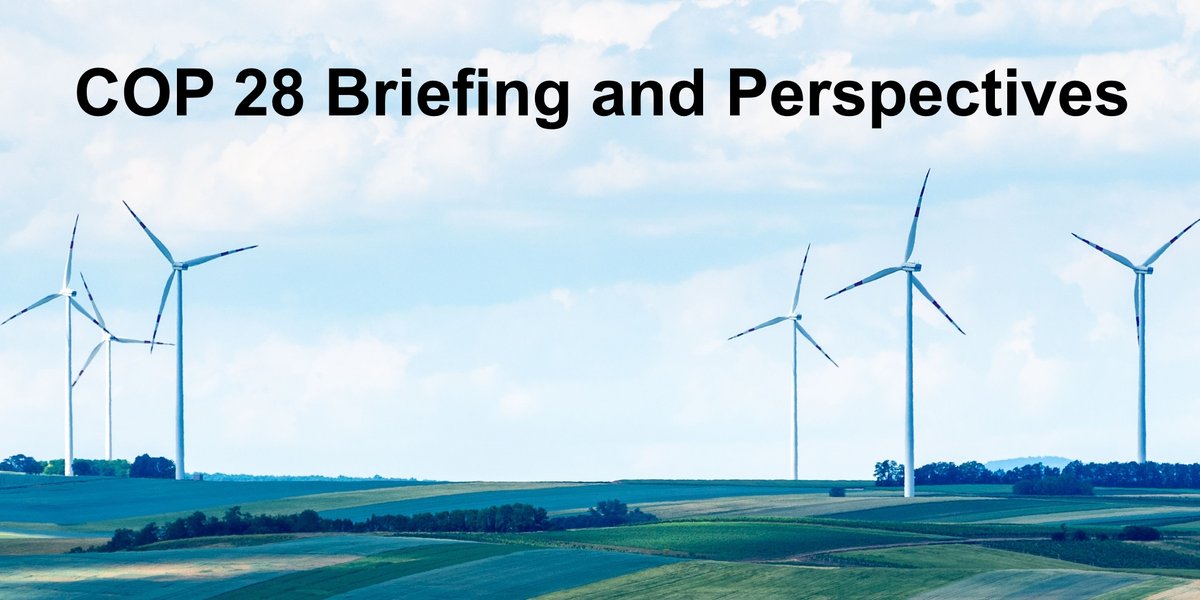 #COP 28 Briefing and Perspectives - A paper by the Project Developer Forum Link: pd-forum.net/files/pdf_uplo… #COP28 #CarbonOffsets #CarbonMarkets @southpoleglobal @climate @CatClifford @ceboudreau @chriscmooney